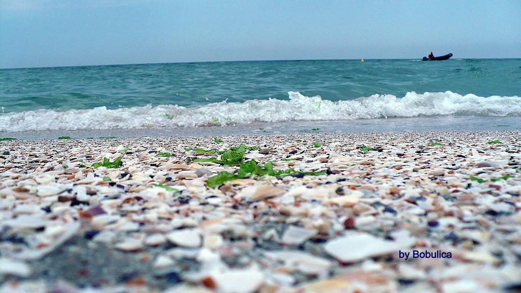 Belle Sea View Apartment Mamaia Chambre photo